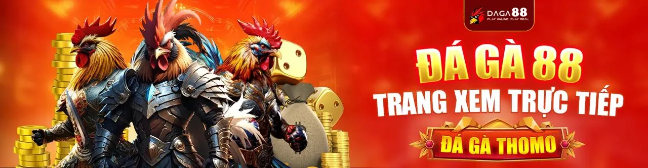 Đá Gà Trực Tuyến t8bet chính thức