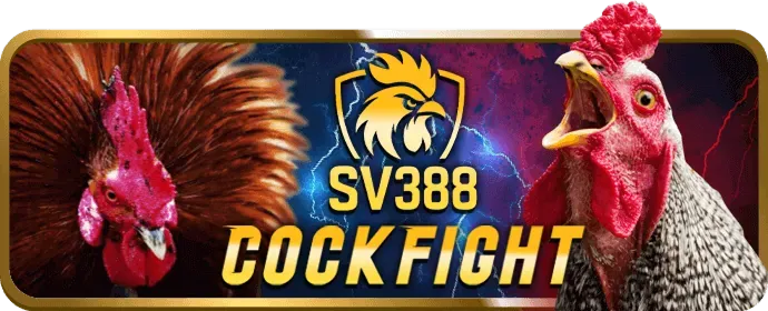Chương trình VIP t8bet chính thức